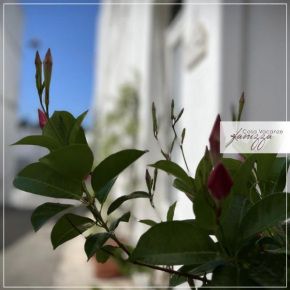 Rebecca e Sofia Stone House affittacamere Alberobello